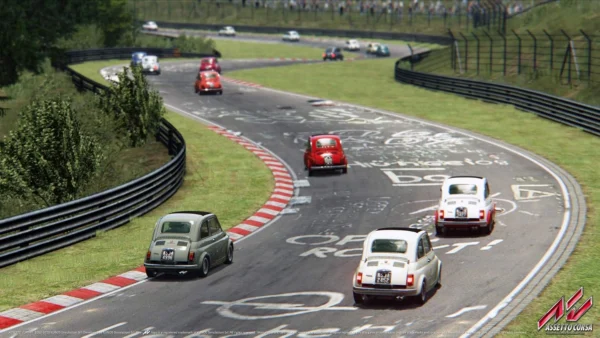 Гра Assetto Corsa PS4 - фото 23 - мініатюра у модальному вікні