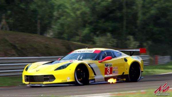 Гра Assetto Corsa PS4 - фото 20 - мініатюра у модальному вікні