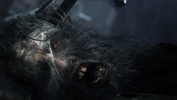 Игра Bloodborne PS4 - фото 15 - мініатюра у модальному вікні