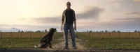 Игра Farming Simulator 19 PS4 - мініатюра 5