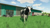 Гра Farming Simulator 22 PS4 Новий - мініатюра 11