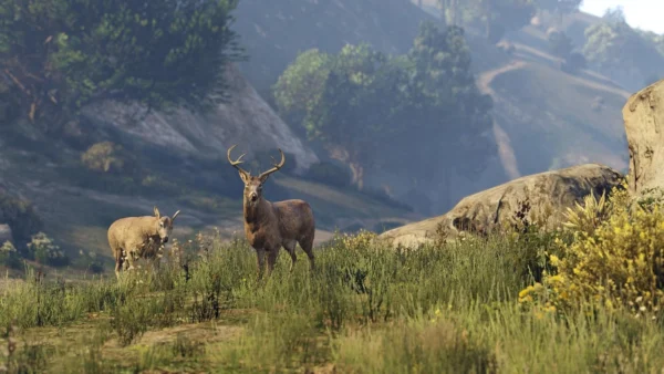 Гра GTA V PS4 - фото 14 - мініатюра у модальному вікні