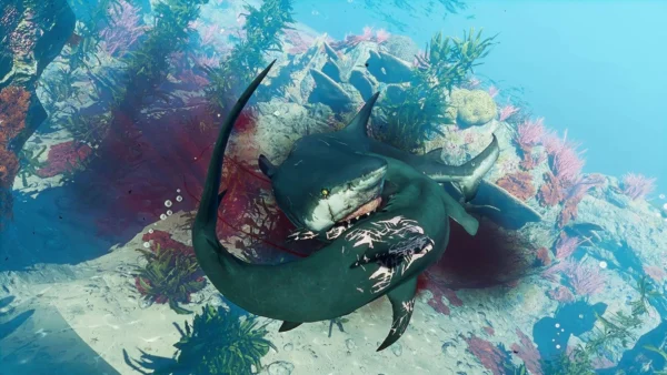 Игра Man Eater PS4 - фото 6 - мініатюра у модальному вікні