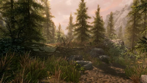 Гра Skyrim PS4 - фото 13 - мініатюра у модальному вікні