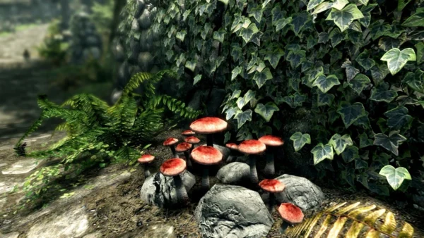 Гра Skyrim PS4 - фото 15 - мініатюра у модальному вікні