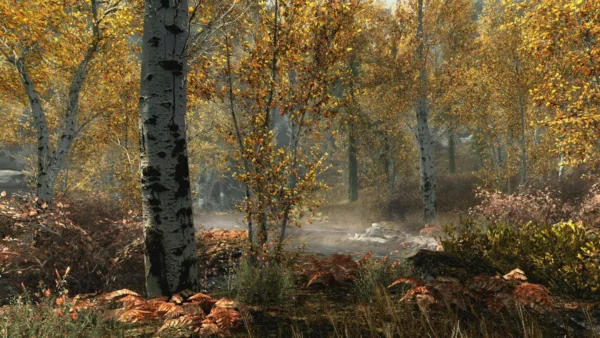 Гра Skyrim PS4 - фото 14 - мініатюра у модальному вікні