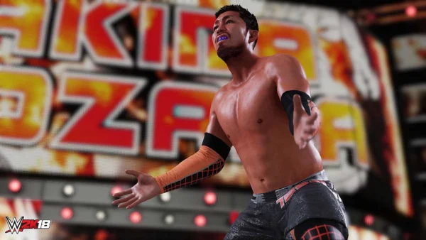 Гра WWE 2K18 PS4 - фото 10 - мініатюра у модальному вікні